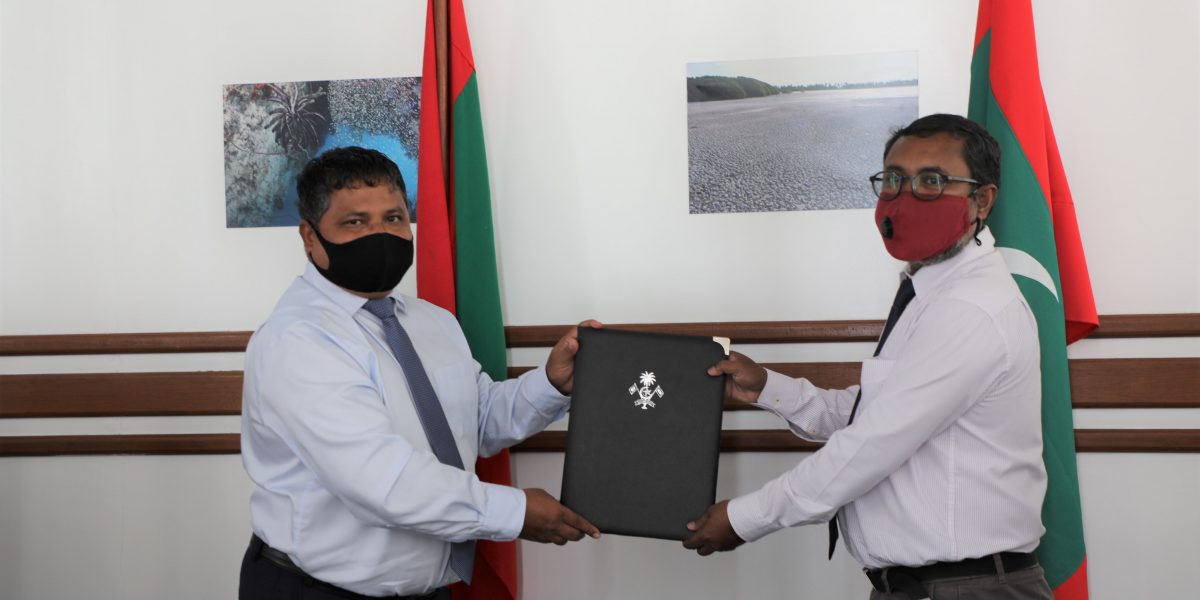Appointment of Chief Executive